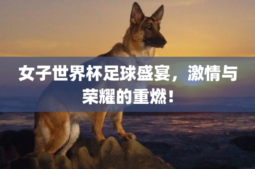 女子世界杯足球盛宴，激情与荣耀的重燃！
