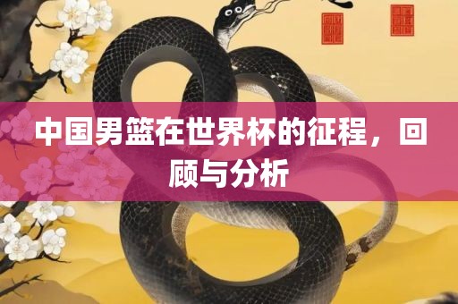 中国男篮在世界杯的征程，回顾与分析