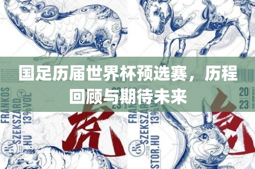 国足历届世界杯预选赛，历程回顾与期待未来