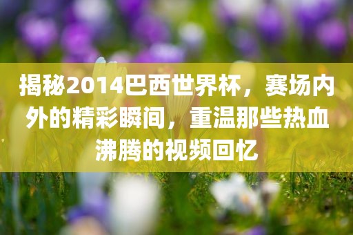 揭秘2014巴西世界杯，赛场内外的精彩瞬间，重温那些热血沸腾的视频回忆