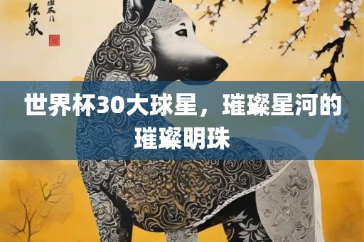 世界杯30大球星，璀璨星河的璀璨明珠