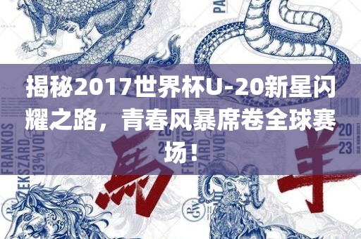 揭秘2017世界杯U-20新星闪耀之路，青春风暴席卷全球赛场！