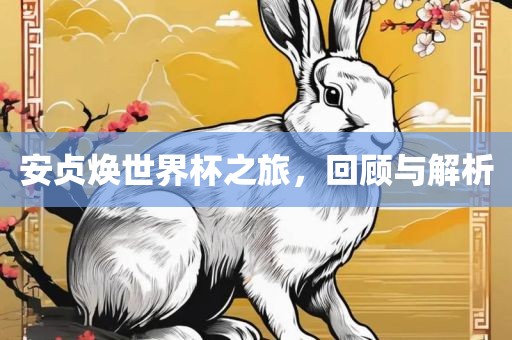 安贞焕世界杯之旅，回顾与解析