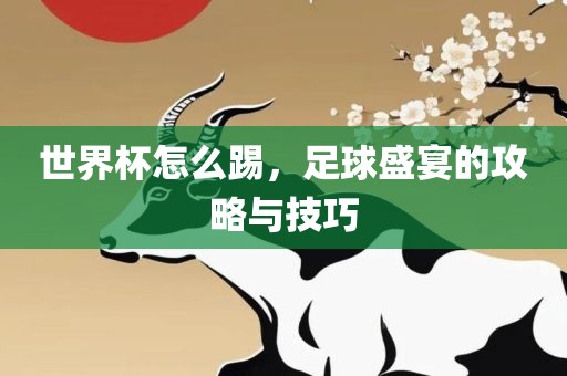 世界杯怎么踢，足球盛宴的攻略与技巧