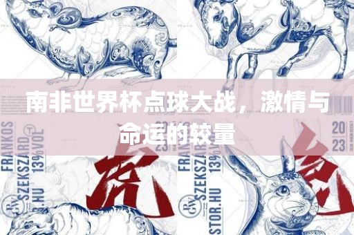 南非世界杯点球大战，激情与命运的较量