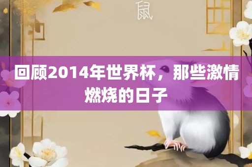 回顾2014年世界杯，那些激情燃烧的日子
