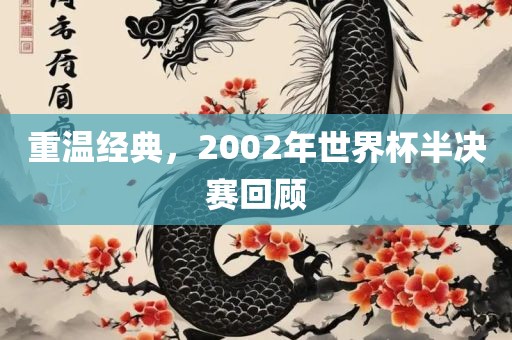 重温经典，2002年世界杯半决赛回顾