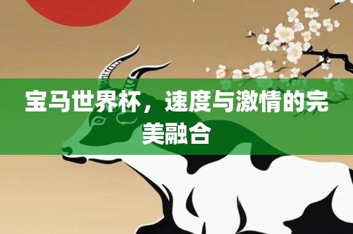 宝马世界杯，速度与激情的完美融合