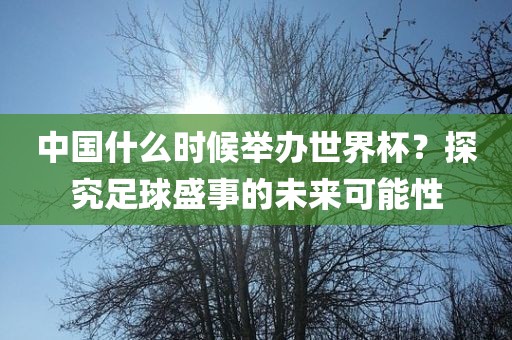 中国什么时候举办世界杯？探究足球盛事的未来可能性