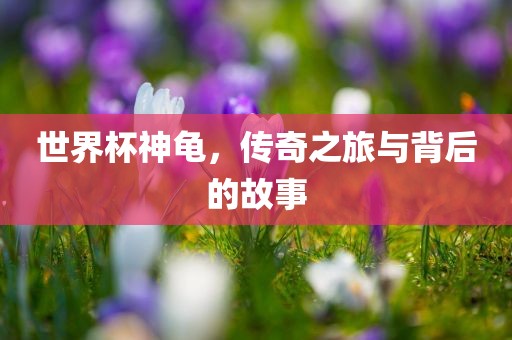 世界杯神龟，传奇之旅与背后的故事