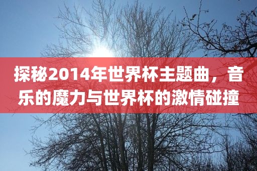 探秘2014年世界杯主题曲，音乐的魔力与世界杯的激情碰撞