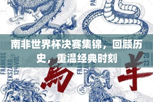 南非世界杯决赛集锦，回顾历史，重温经典时刻