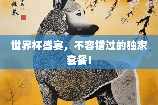 世界杯盛宴，不容错过的独家套餐！