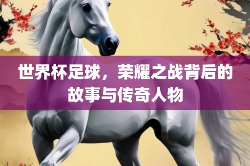 世界杯足球，荣耀之战背后的故事与传奇人物