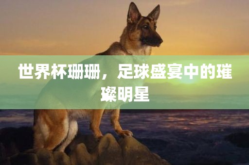 世界杯珊珊，足球盛宴中的璀璨明星