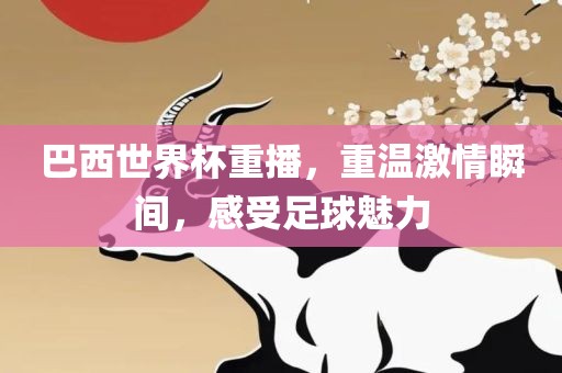 巴西世界杯重播，重温激情瞬间，感受足球魅力