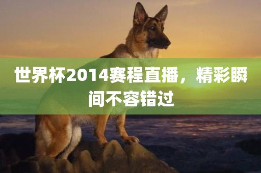 世界杯2014赛程直播，精彩瞬间不容错过