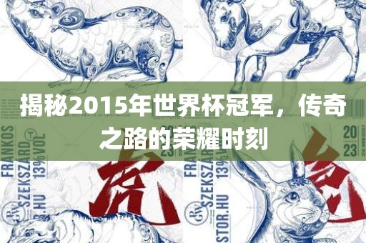 揭秘2015年世界杯冠军，传奇之路的荣耀时刻