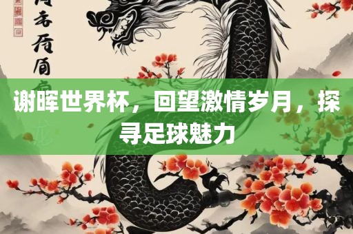 谢晖世界杯，回望激情岁月，探寻足球魅力