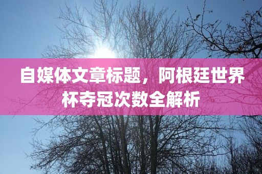 自媒体文章标题，阿根廷世界杯夺冠次数全解析