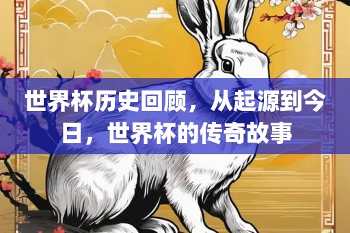 世界杯历史回顾，从起源到今日，世界杯的传奇故事