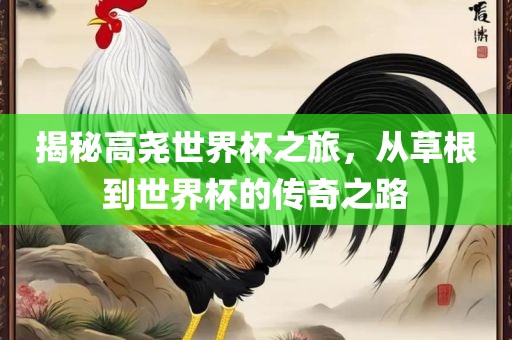 揭秘高尧世界杯之旅，从草根到世界杯的传奇之路