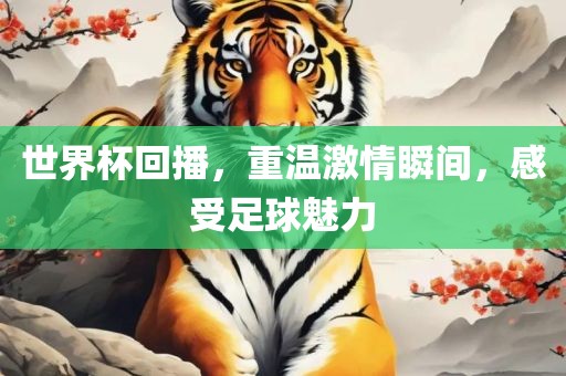 世界杯回播，重温激情瞬间，感受足球魅力