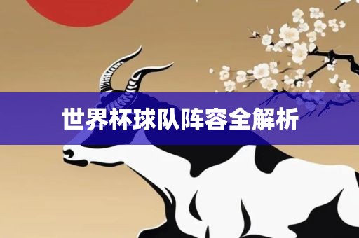 世界杯球队阵容全解析