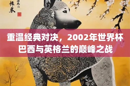 重温经典对决，2002年世界杯巴西与英格兰的巅峰之战