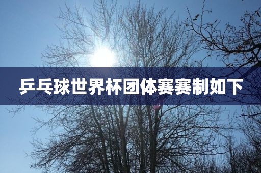 乒乓球世界杯团体赛赛制如下