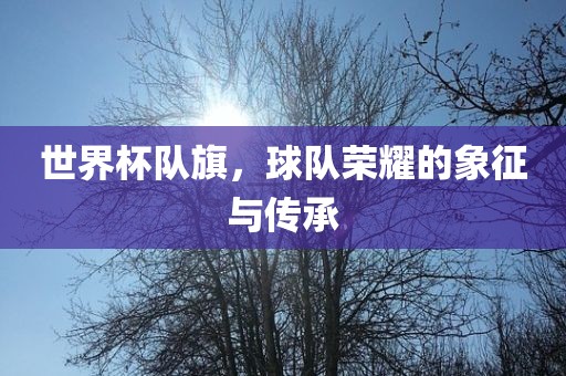 世界杯队旗，球队荣耀的象征与传承