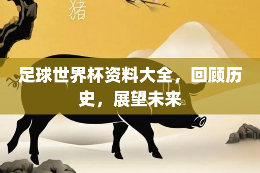 足球世界杯资料大全，回顾历史，展望未来