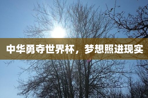 中华勇夺世界杯，梦想照进现实