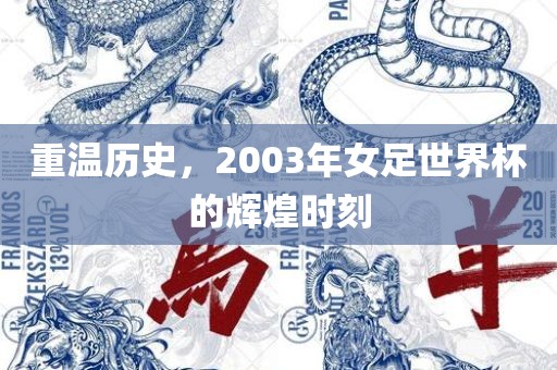 重温历史，2003年女足世界杯的辉煌时刻