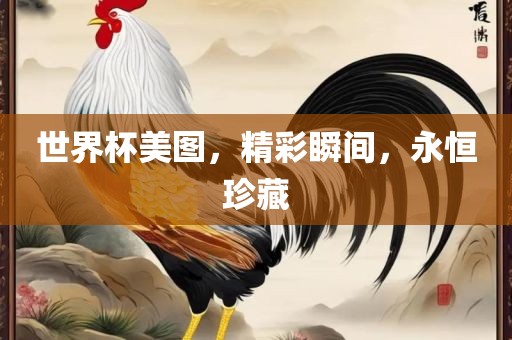 世界杯美图，精彩瞬间，永恒珍藏