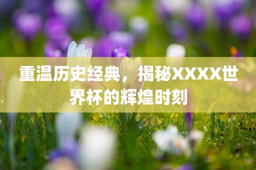 重温历史经典，揭秘XXXX世界杯的辉煌时刻