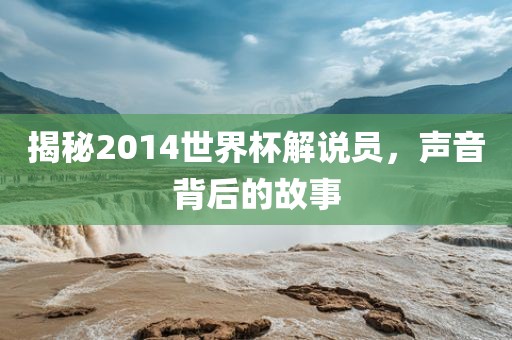 揭秘2014世界杯解说员，声音背后的故事
