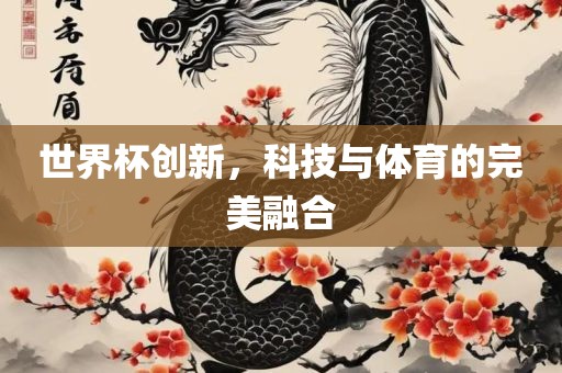 世界杯创新，科技与体育的完美融合