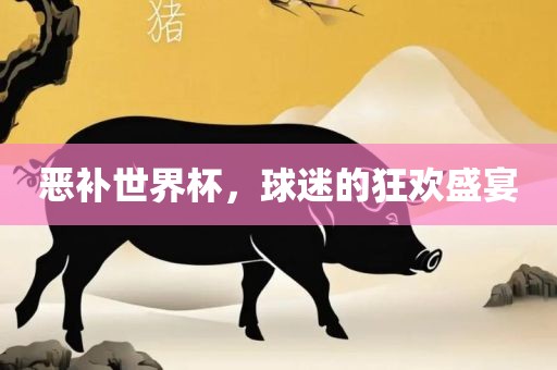 恶补世界杯，球迷的狂欢盛宴