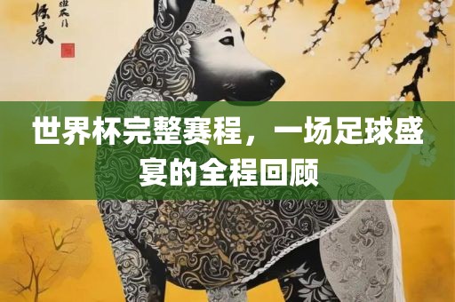 世界杯完整赛程，一场足球盛宴的全程回顾