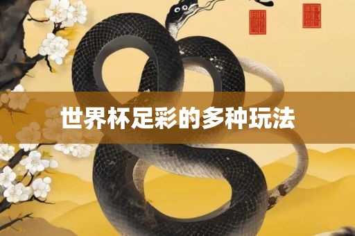 世界杯足彩的多种玩法