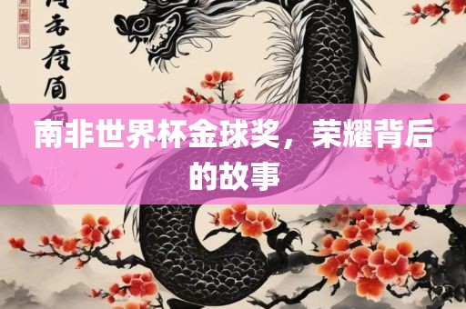 南非世界杯金球奖，荣耀背后的故事