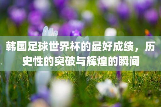 韩国足球世界杯的最好成绩，历史性的突破与辉煌的瞬间
