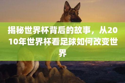揭秘世界杯背后的故事，从2010年世界杯看足球如何改变世界