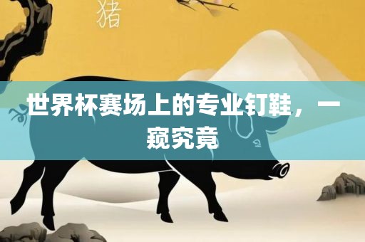 世界杯赛场上的专业钉鞋，一窥究竟