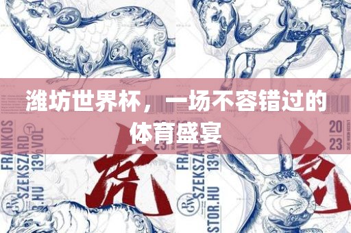 潍坊世界杯，一场不容错过的体育盛宴