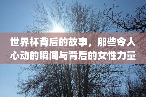 世界杯背后的故事，那些令人心动的瞬间与背后的女性力量