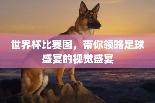 世界杯比赛图，带你领略足球盛宴的视觉盛宴