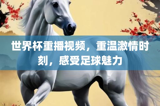 世界杯重播视频，重温激情时刻，感受足球魅力