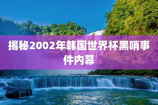 揭秘2002年韩国世界杯黑哨事件内幕